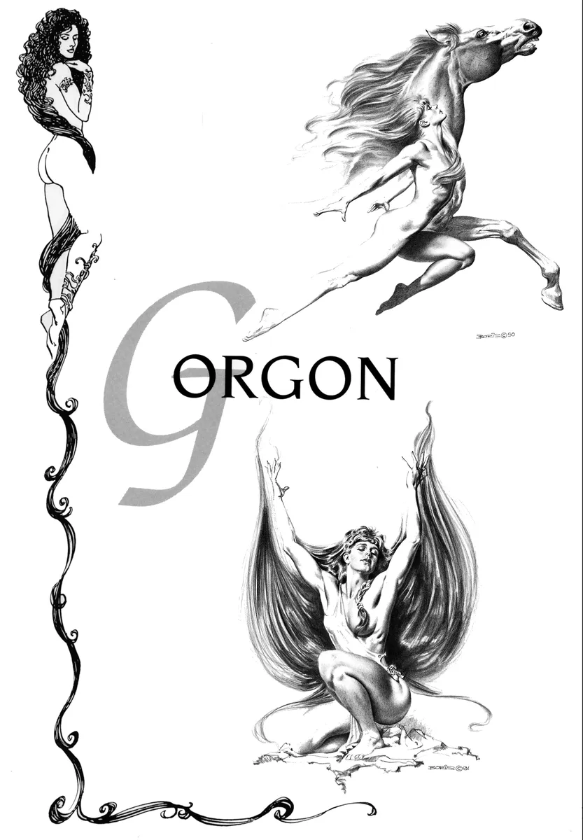 Gorgon Sketch